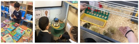 Screenshot 2026-04-02 133951