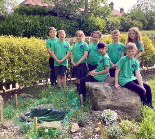 TLA Team Green