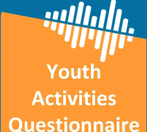 questionnaire 2