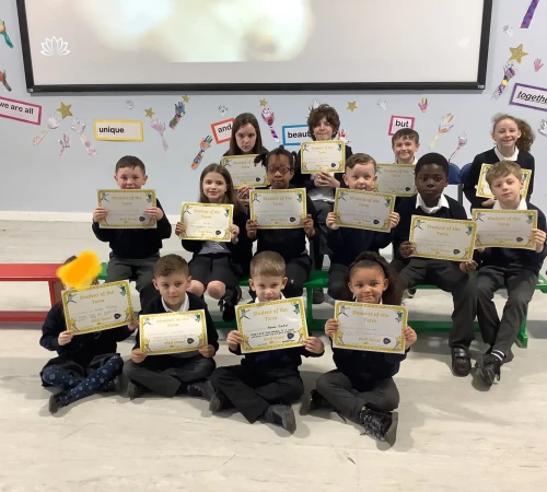 term stars