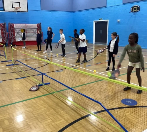 Pickleball (2) (Medium)